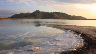 Photo of Соленые озера осетровых