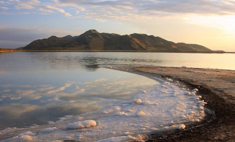 Photo of Соленые озера осетровых