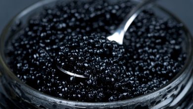 Photo of Редкие виды осетровых