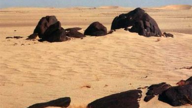 Photo of Пустыни и осетровые виды