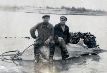 Photo of Осетровые и человеческое вмешательство