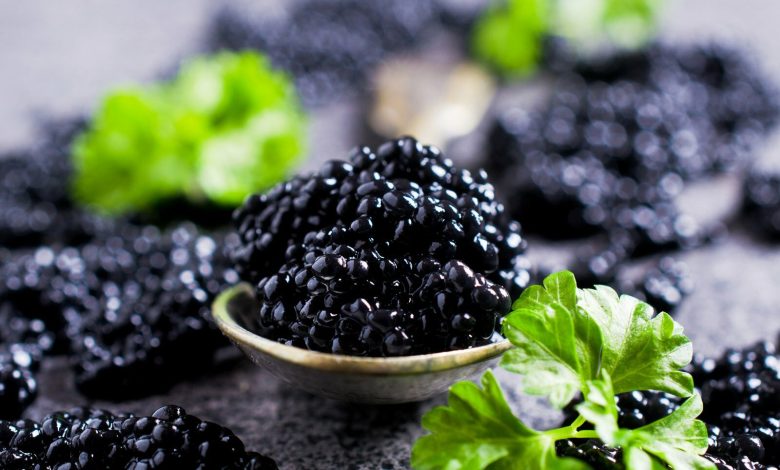 Photo of Интересные факты об осетровых