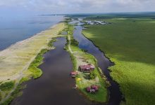 Photo of Тропические реки осетровых